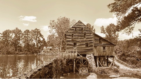 Heart pine hardwood flooring of Olde Charleston Standard Collection