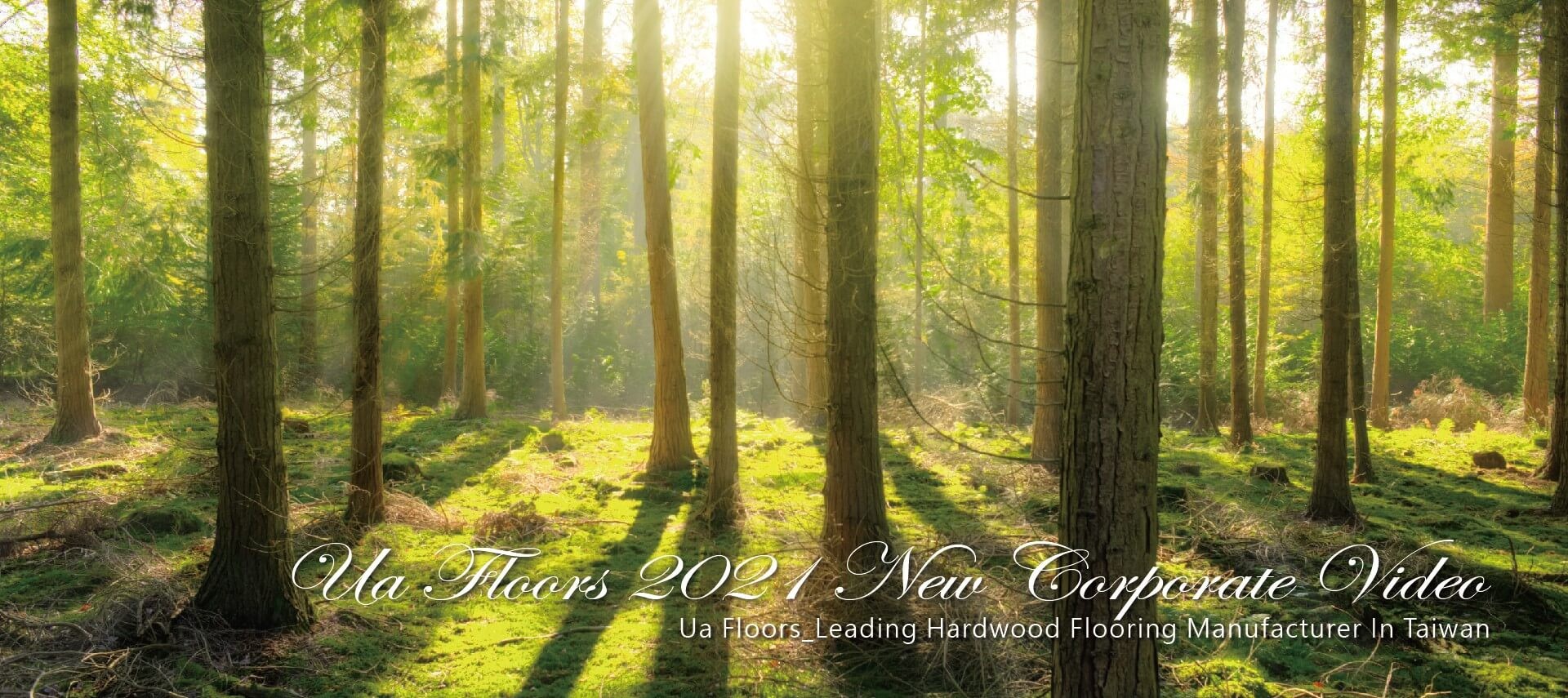 Ua Floors - Ua Wood Floors-あなたの家に最適なフローリング