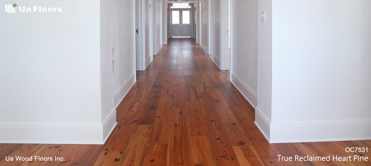 Ua Floors - PROJECTS|Everglades City Hall | Florida