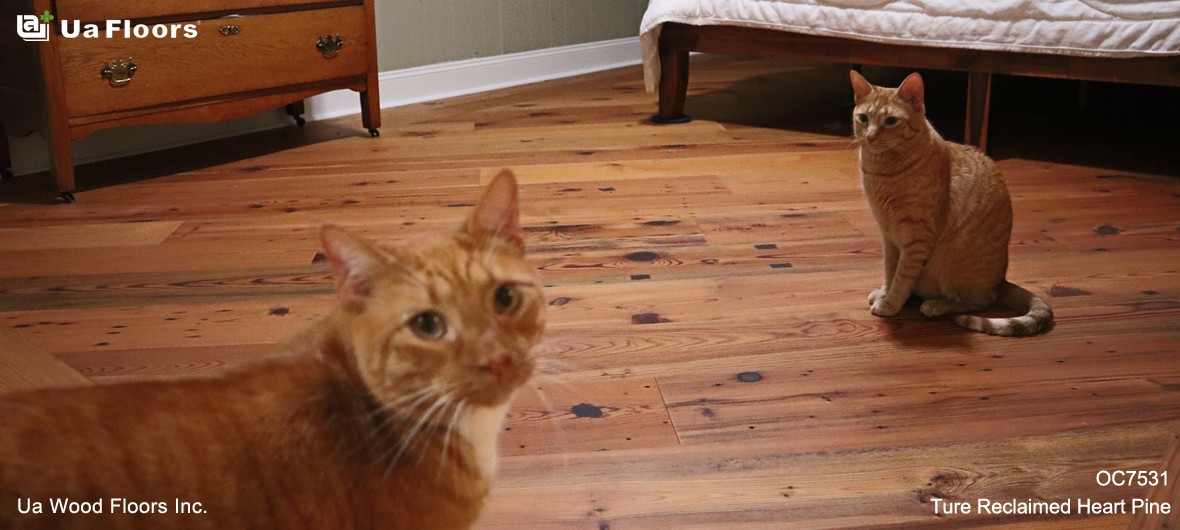 Ua Floors - PROJECTS|Megan's House | Florida