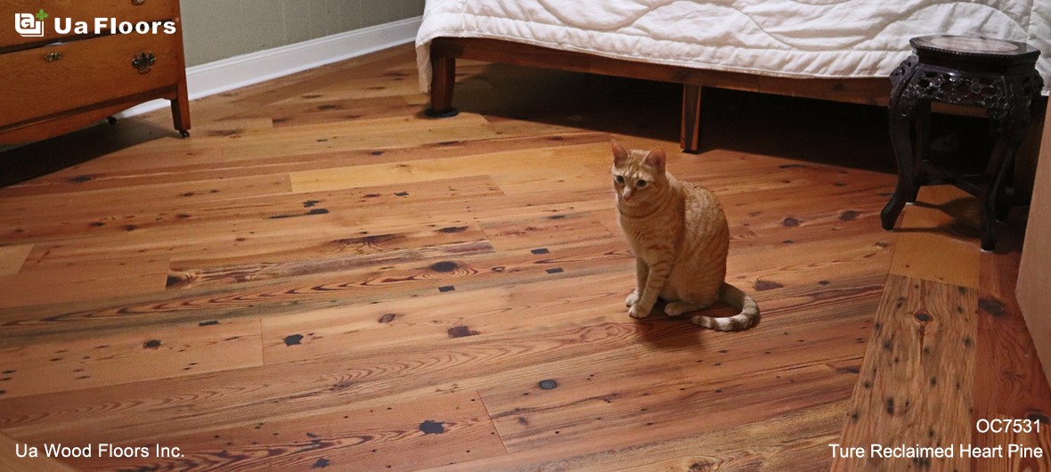 Ua Floors - PROJECTS|Megan's House | Florida