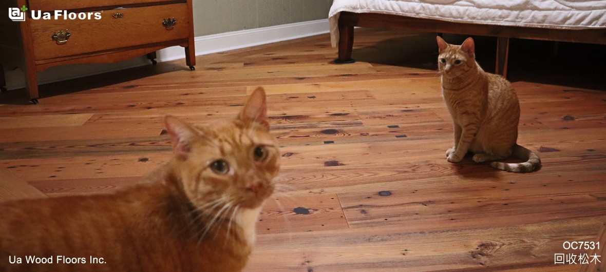 Ua Floors - 專案實績|美國-M宅1