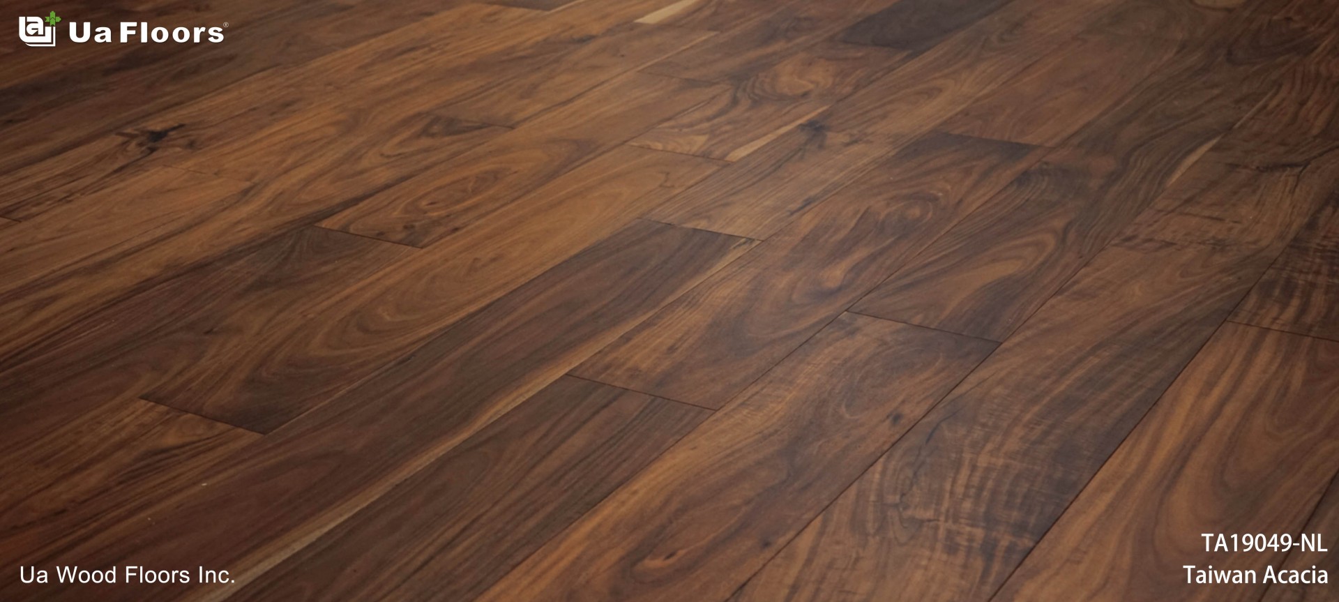 Ua Floors - PROJECTS|Beiye Elementary School | Taiwan