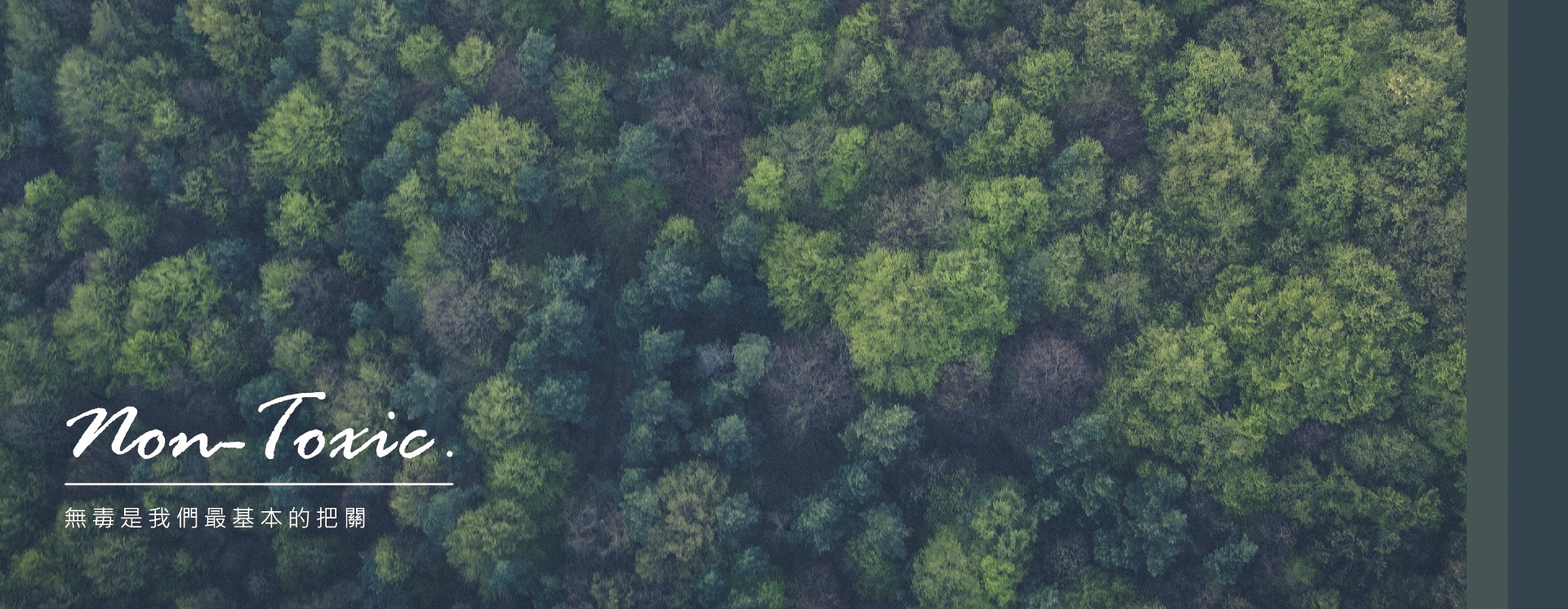 Ua Floors - 健康能量木地板|無毒綠建材