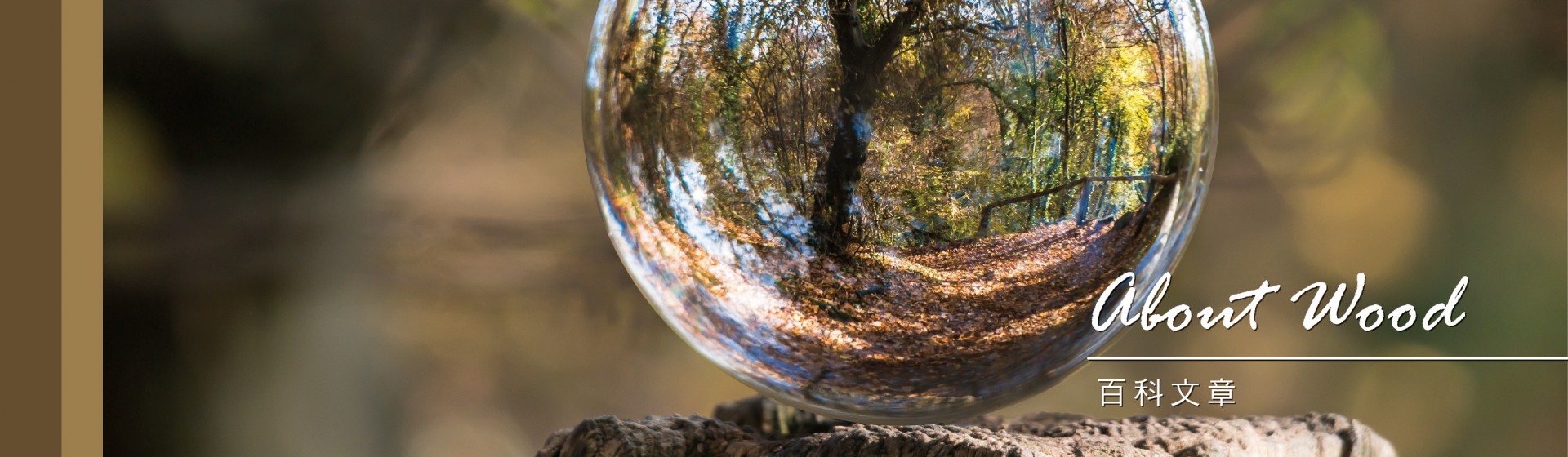 Ua Floors - 木學堂百科 - 百科文章|