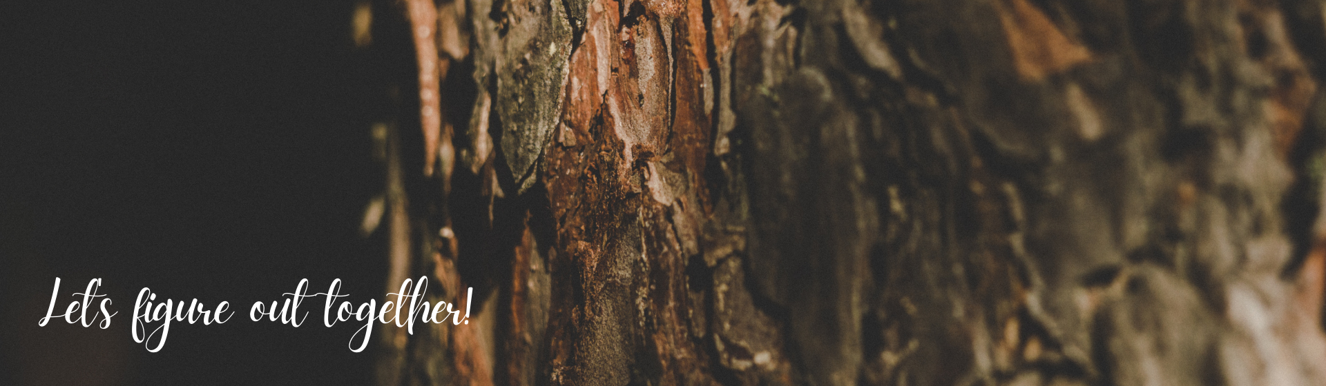 Ua Floors - WOOD KNOWLEDGE - FAQ