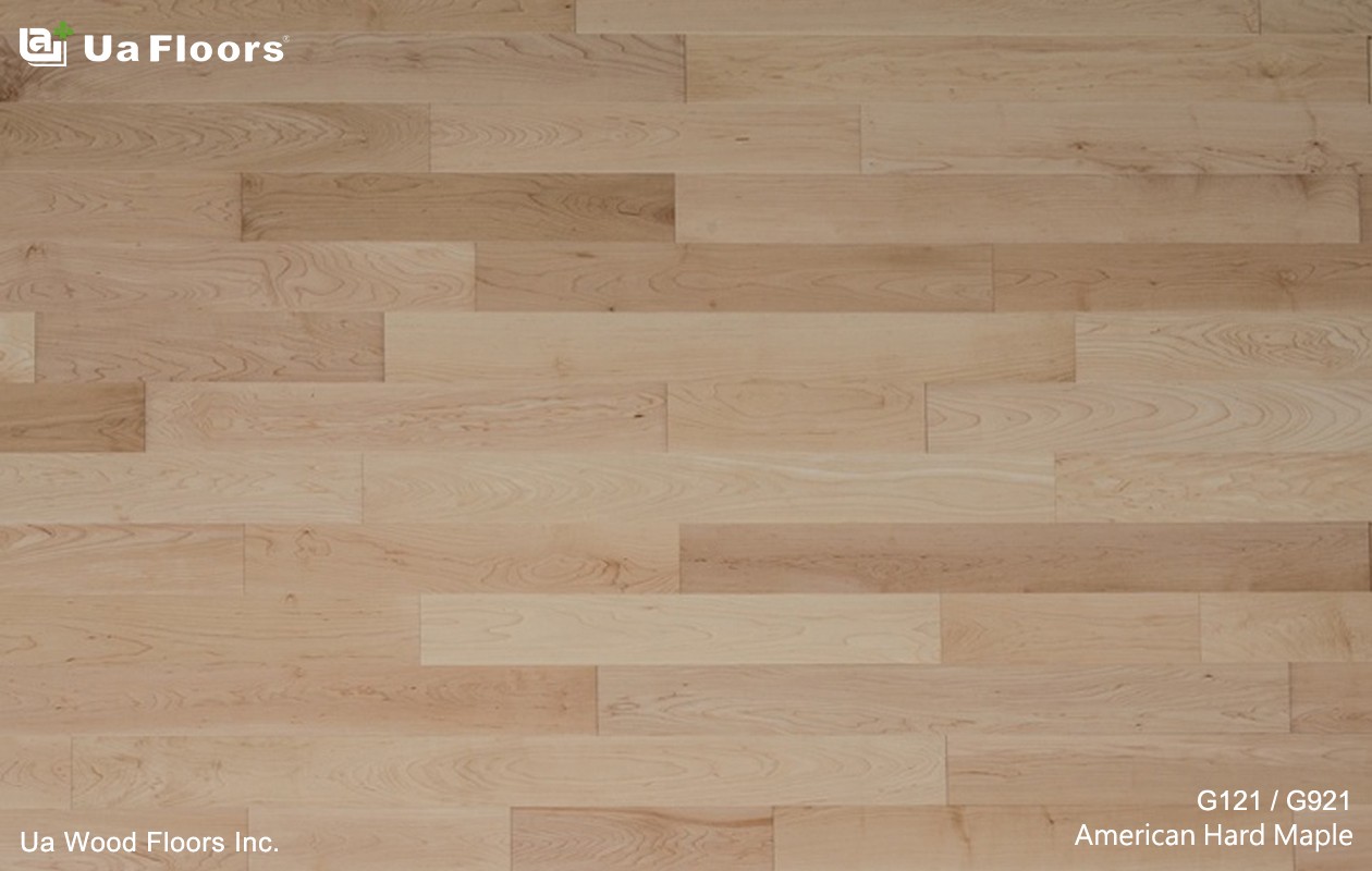 Ua Floors - PRODUCTS|American Hard Maple Engineered Hardwood Flooring