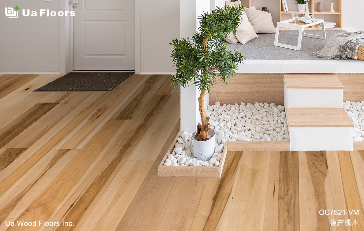 Ua Floors - PRODUCTS|Vermont Country Maple Engineered Hardwood Flooring 