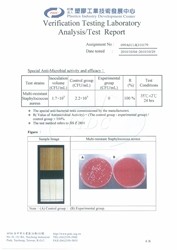 Ua Floors - 試験成績書_多剤耐性